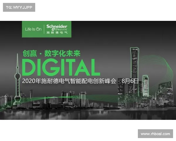 降级区发展与转型：探索新兴区域经济路径与社会融合模式